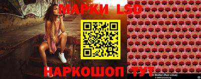 PSILOCYBIN Пугачёв