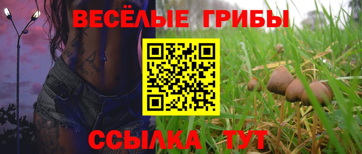 Псилоцибиновые грибы Magic Shrooms Ревда