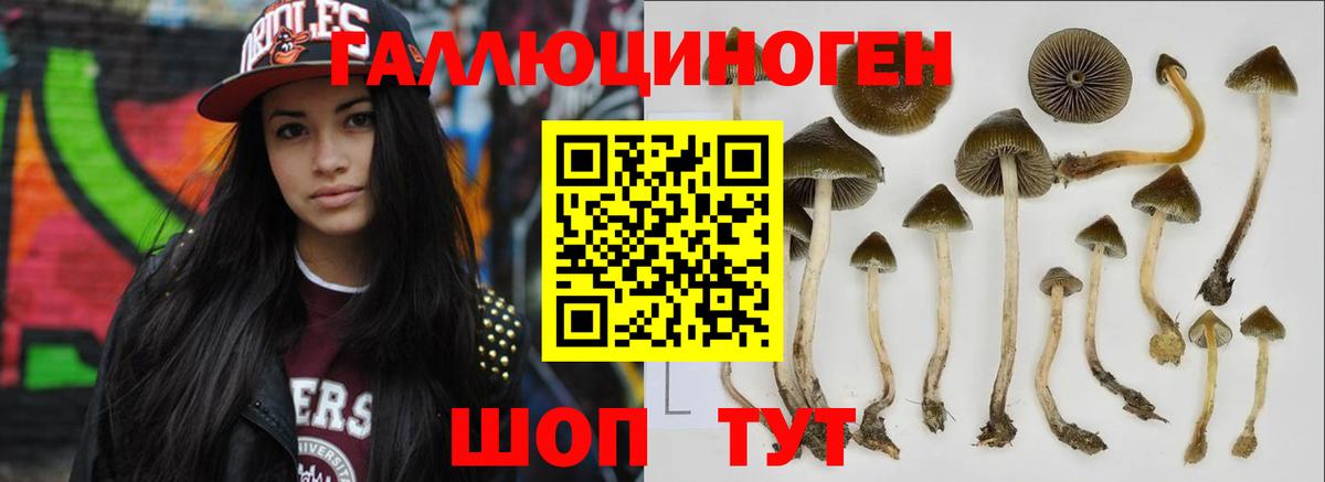 Меф   Alpha PVP СК   ЭКСТАЗИ  Ревда  Лсд 25  Бошки Шишки  Магазины продажи наркотиков  ГЕРОИН  Гашиш  НБОМе  Вход с VPN 